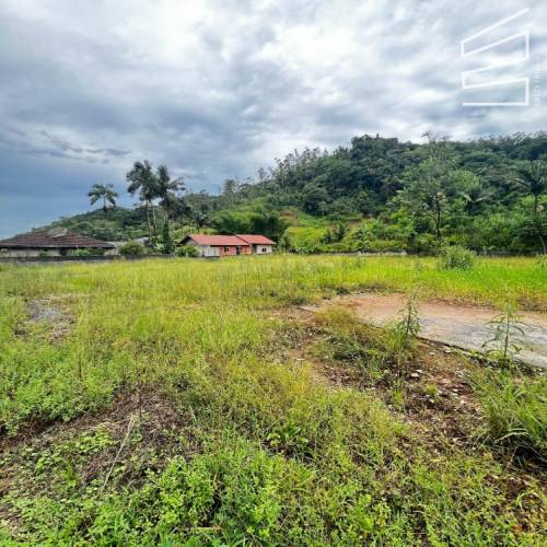 Terreno no bairro figueirinha 